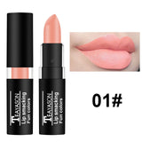 NEW Lipstick Matte Waterproof Velvet Lip Stick 12 Colors Sexy Red Purple Green Pigments Makeup Matte Lipsticks Beauty Lips TSLM2