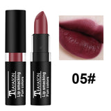 NEW Lipstick Matte Waterproof Velvet Lip Stick 12 Colors Sexy Red Purple Green Pigments Makeup Matte Lipsticks Beauty Lips TSLM2