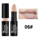 NEW Lipstick Matte Waterproof Velvet Lip Stick 12 Colors Sexy Red Purple Green Pigments Makeup Matte Lipsticks Beauty Lips TSLM2