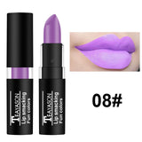 NEW Lipstick Matte Waterproof Velvet Lip Stick 12 Colors Sexy Red Purple Green Pigments Makeup Matte Lipsticks Beauty Lips TSLM2