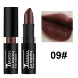 NEW Lipstick Matte Waterproof Velvet Lip Stick 12 Colors Sexy Red Purple Green Pigments Makeup Matte Lipsticks Beauty Lips TSLM2