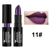 NEW Lipstick Matte Waterproof Velvet Lip Stick 12 Colors Sexy Red Purple Green Pigments Makeup Matte Lipsticks Beauty Lips TSLM2