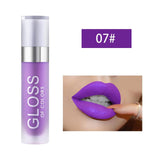 Makeup Matte Lip Gloss Women Lips Maquiagem Matt Lip Gloss Make up Cosmetics Mate Batom Lip Stick Maquillaje Lipgloss TSLM2