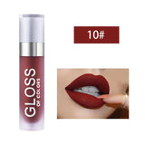 Makeup Matte Lip Gloss Women Lips Maquiagem Matt Lip Gloss Make up Cosmetics Mate Batom Lip Stick Maquillaje Lipgloss TSLM2