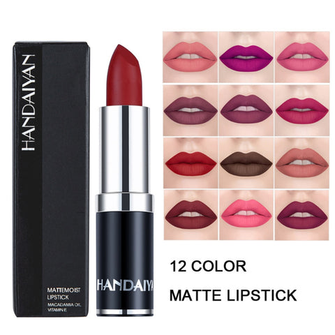 HANDAIYAN 12 Colors Matte Lipstick Tubes Waterproof Long Lasting Sexy Purple Lipstick Pigments Makeup Never Fade Away TSLM2