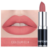 HANDAIYAN 12 Colors Matte Lipstick Tubes Waterproof Long Lasting Sexy Purple Lipstick Pigments Makeup Never Fade Away TSLM2