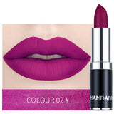 HANDAIYAN 12 Colors Matte Lipstick Tubes Waterproof Long Lasting Sexy Purple Lipstick Pigments Makeup Never Fade Away TSLM2