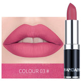 HANDAIYAN 12 Colors Matte Lipstick Tubes Waterproof Long Lasting Sexy Purple Lipstick Pigments Makeup Never Fade Away TSLM2