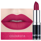 HANDAIYAN 12 Colors Matte Lipstick Tubes Waterproof Long Lasting Sexy Purple Lipstick Pigments Makeup Never Fade Away TSLM2