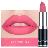 HANDAIYAN 12 Colors Matte Lipstick Tubes Waterproof Long Lasting Sexy Purple Lipstick Pigments Makeup Never Fade Away TSLM2