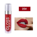 15color Waterproof Liquid Lip Gloss Matte Lipstick Lips Cosmetic Sexy Red Lip Makeup Lasting Lipgloss Cosmetics Maquiagem TSLM1