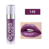 15color Waterproof Liquid Lip Gloss Matte Lipstick Lips Cosmetic Sexy Red Lip Makeup Lasting Lipgloss Cosmetics Maquiagem TSLM1